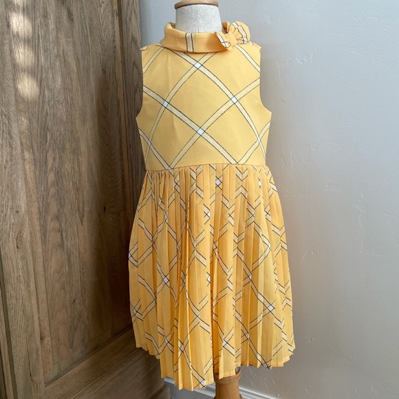 Janie and Jack Other - COPY - EUC Janie and Jack Pleated Skirt Dress